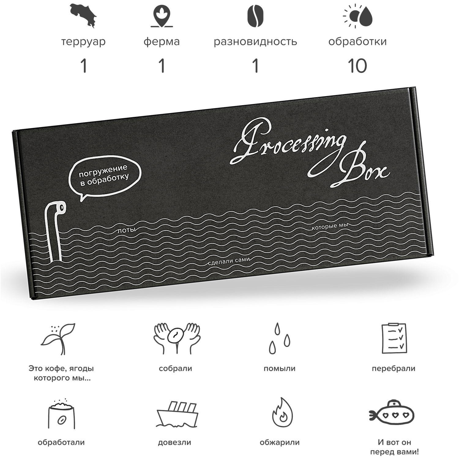 Processing Box