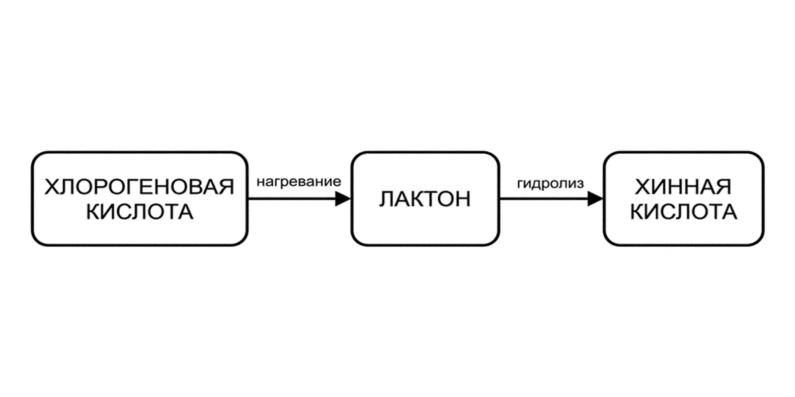 Схема превращения лактонов